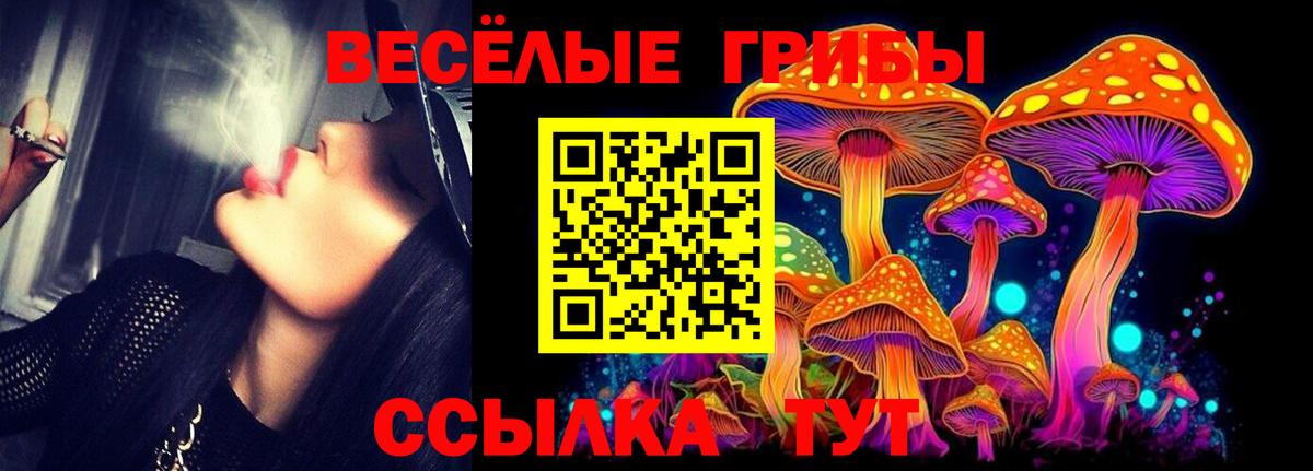 Псилоцибиновые грибы Cubensis Вышний Волочёк