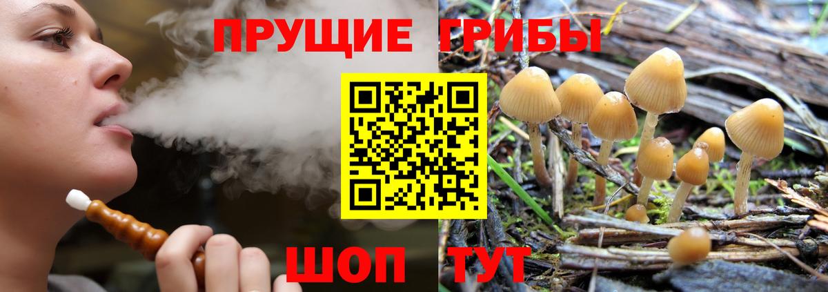 Псилоцибиновые грибы GOLDEN TEACHER  Вход с VPN  Вышний Волочёк 