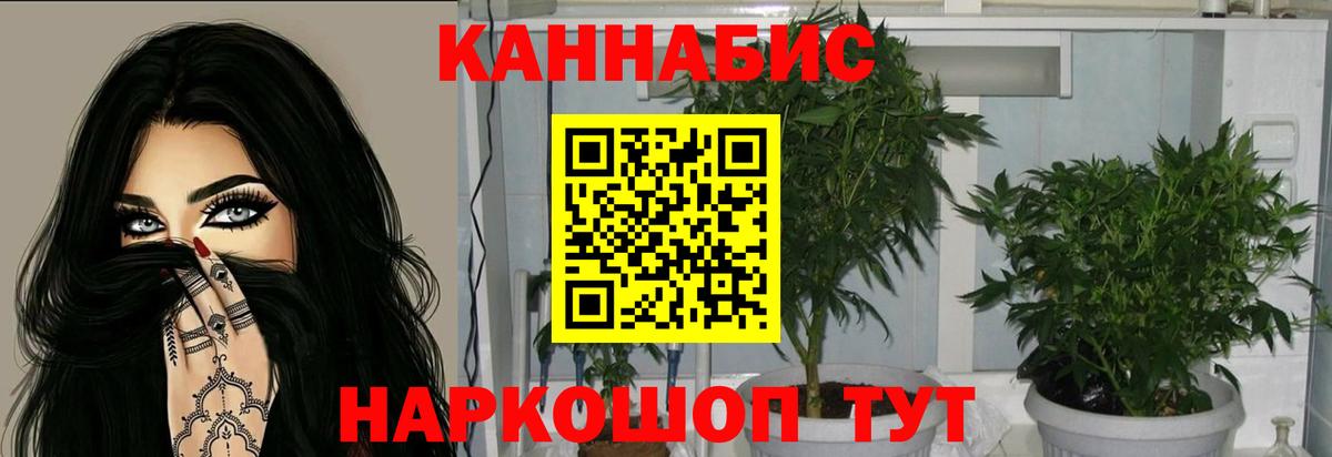 Бошки Шишки семена Вышний Волочёк